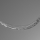The new nematode